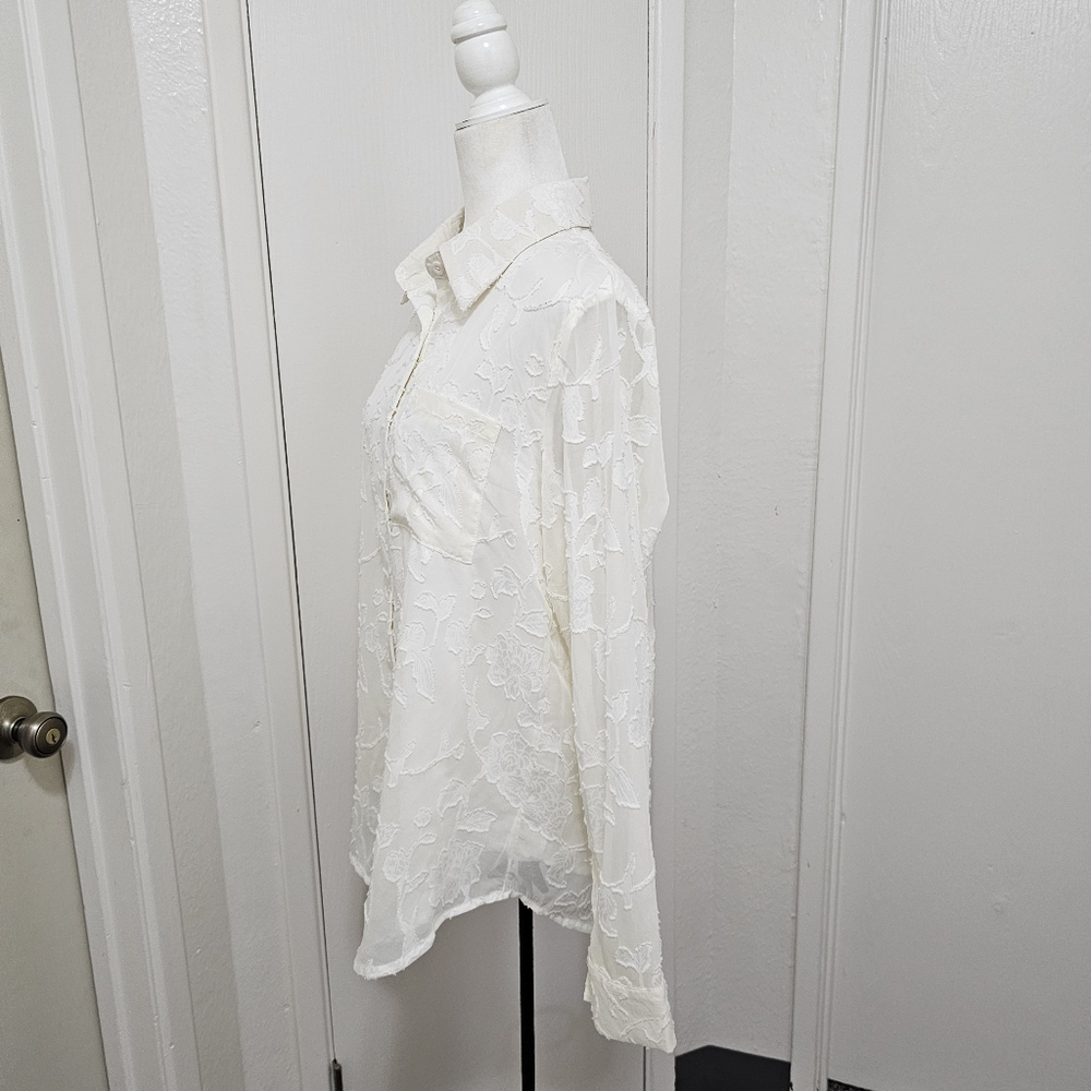Pretty Garden Romantic Sheer Chiffon Textured Blouse Button Down Cream Small - Picture 5 of 16